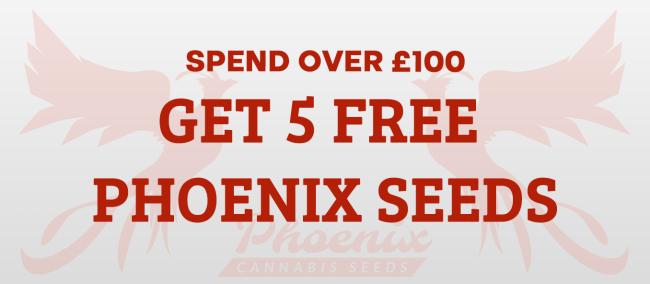 Orders Over £100 Get 5 FREE Seeds!